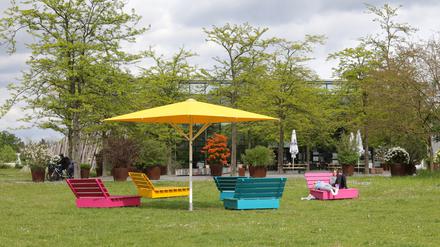 Mehr Sitzgelegenheiten und Schatten – eines der Vorhaben im Volkspark Potsdam.