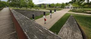 Der Volkspark im Bornstedter Feld.