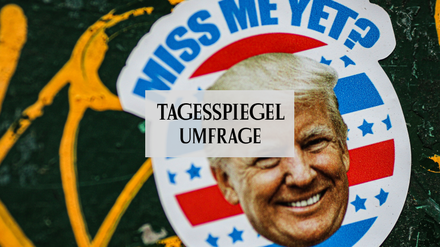 Umfrage Trump