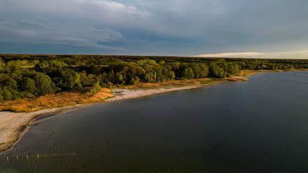 Der Seddiner See bei Wildenbruch in Brandenburg.