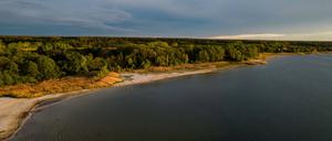 Der Seddiner See bei Wildenbruch in Brandenburg.