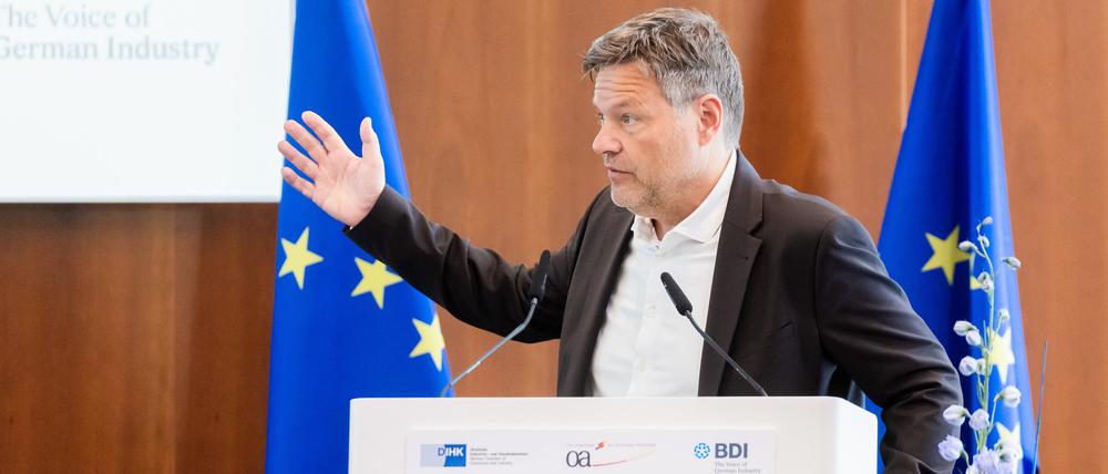 Robert Habeck (Bündnis 90/Die Grünen), Bundesminister für Wirtschaft und Klimaschutz, spricht bei der Konferenz „20 Jahre EU-Erweiterung“ im Haus der Deutschen Wirtschaft.