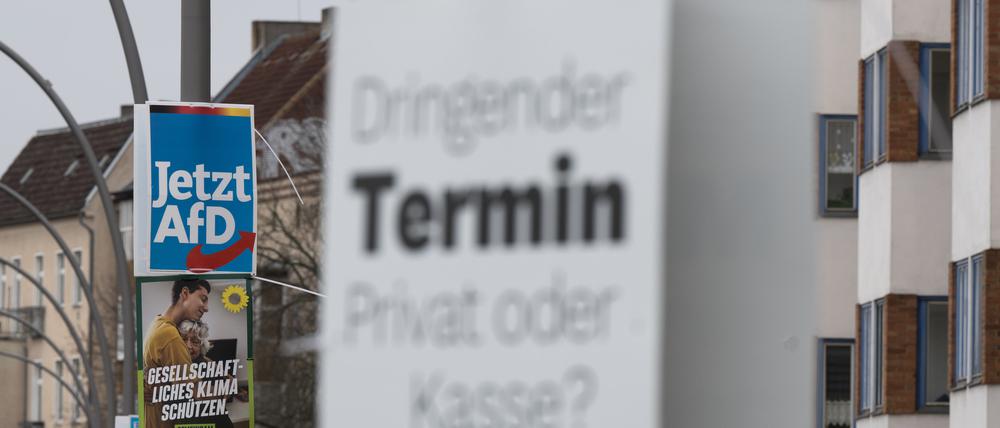 Wahlplakate der Parteien AfD, Bündnis 90/Die Grünen und Die Linke zur Teil-Wiederholung der Bundestagswahl hängen im Stadtteil Pankow an Laternenmasten.