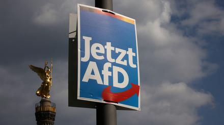 Der Höhenflug der AfD in Umfragen scheint beendet.
