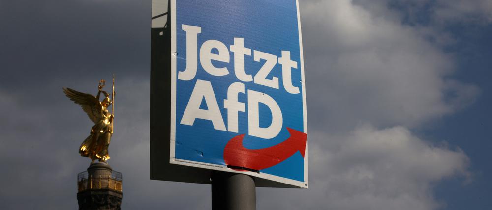Der Höhenflug der AfD in Umfragen scheint beendet.