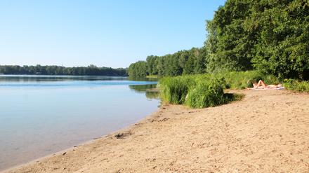 Badewiese in Groß Glienicke am Groß Glienicker See klares Wasser Badewetter Schwimmen Baden Sommer