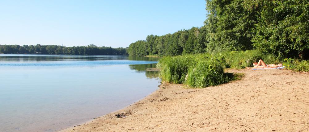 Badewiese in Groß Glienicke am Groß Glienicker See klares Wasser Badewetter Schwimmen Baden Sommer