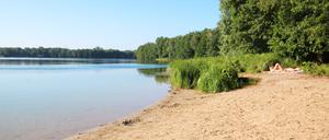 Badewiese in Groß Glienicke am Groß Glienicker See klares Wasser Badewetter Schwimmen Baden Sommer