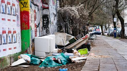 Die Beseitigung und Entsorgung von illegalem Müll kostet das Land Berlin inzwischen weit mehr als zehn Millionen Euro im Jahr.