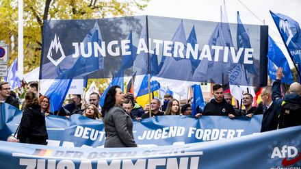 Demonstration der AfD in Erfurt. 