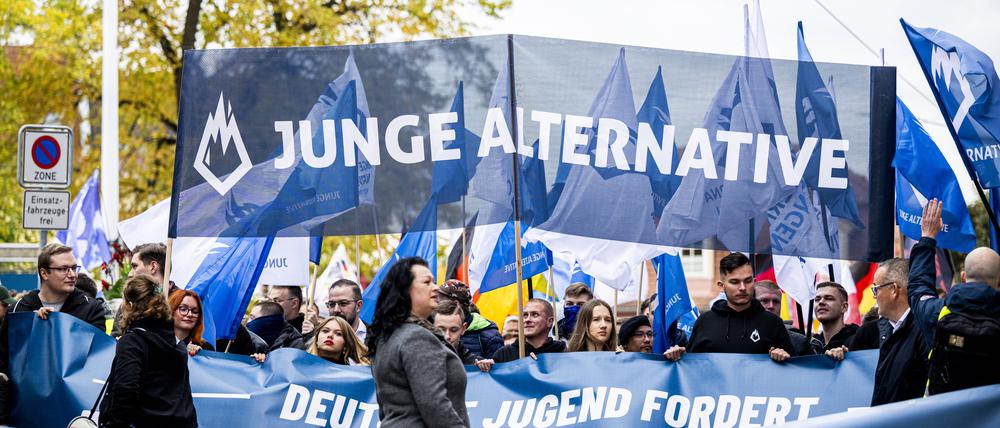 Demonstration der AfD in Erfurt.