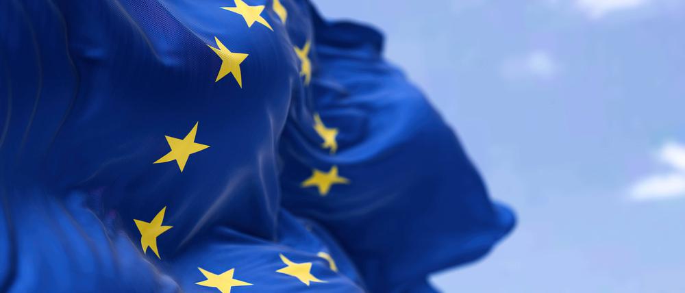 Die Flagge der Europäischen Union.