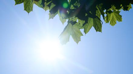 Schon am frühen Morgen scheint die Sonne von einem nahezu wolkenlosen Himmel. In der Woche wird es sommerlich warm rund um die Hauptstadt. 
