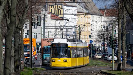 ARCHIV - 07.03.2024, Berlin: Eine Straßenbahn der Linie M4 fährt in der Berliner Allee in Weißensee in Richtung Hackescher Markt. (zu dpa: «Mann von Straßenbahn in Pankow angefahren - schwer verletzt in Klinik») Foto: Soeren Stache/dpa +++ dpa-Bildfunk +++
