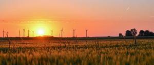 Am frühen Morgen leuchtet der Sonnenaufgang über einem Getreidefeld mit Windenergieanlagen im Landkreis Märkisch-Oderland im Osten des Landes Brandenburg.