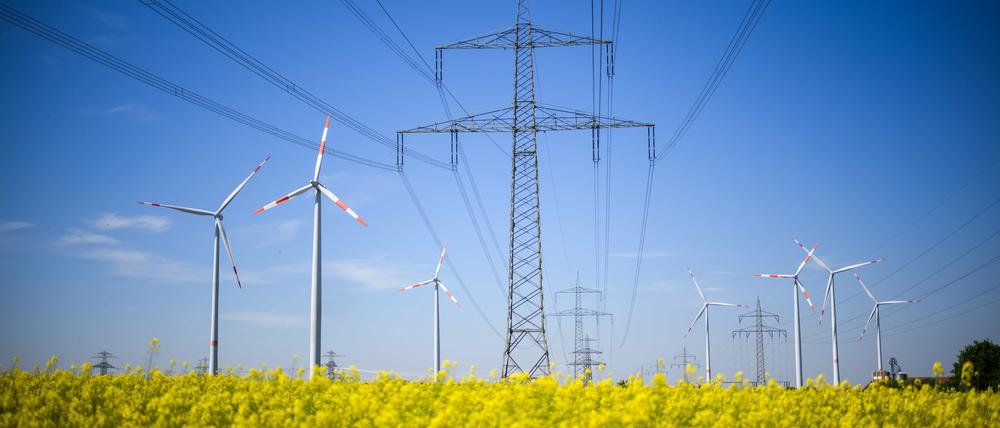 Der Bau neuer Windärder und Stromtrassen soll beschleunigt werden. 