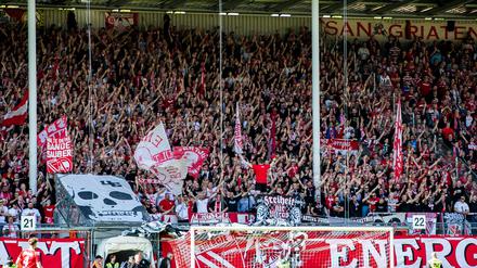 Der FC Energie Cottbus im Stadion.