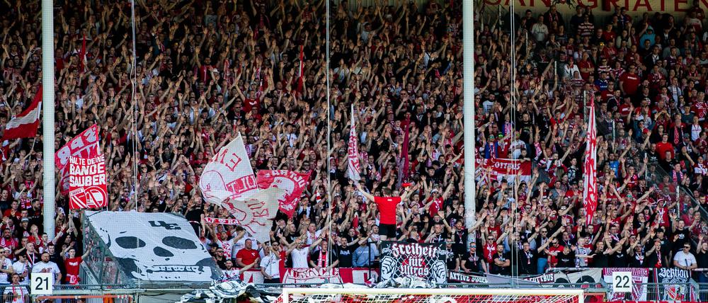 Der FC Energie Cottbus im Stadion.
