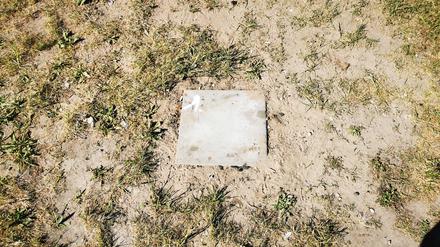 Grillen im Volkspark nur auf 46 Parzellen erlaubt. 