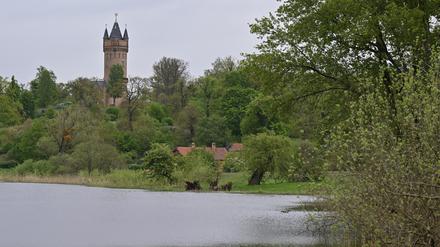 Der Park Babelsberg, im Hintergrund der Flatowturm.