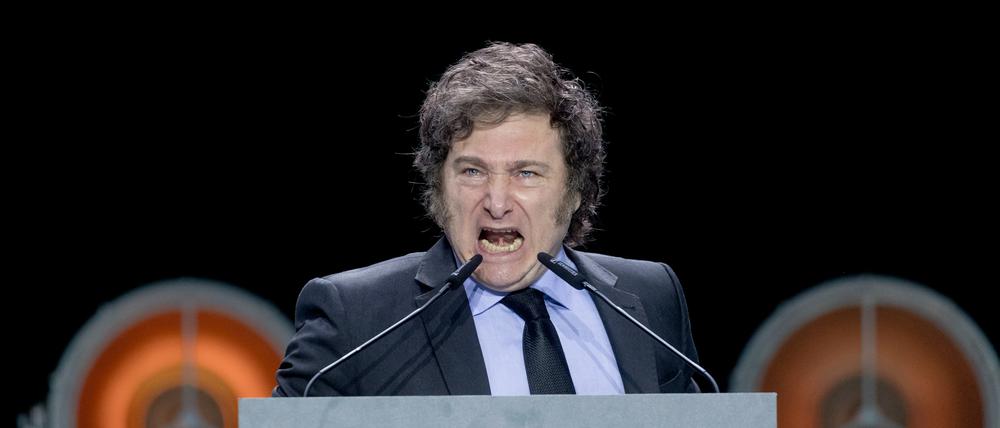 Javier Milei, Präsident von Argentinien, spricht während der „Viva 24“-Veranstaltung von Vox im Palacio de Vistalegre.