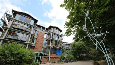 Nutheschlange Potsdam. Pro Potsdam hat schon knapp 17 Millionen Euro in die Häuser investiert. Was jetzt mit dem Wohnblock an der Nuthestraße geschehen soll.