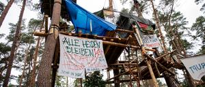 dpatopbilder - 19.05.2024, Brandenburg, Grünheide: Banner hängen zwischen den Baumhäusern des Protest-Camps von der Initiative «Tesla stoppen» in der Nähe der Tesla-Werks. Foto: Fabian Sommer/dpa +++ dpa-Bildfunk +++