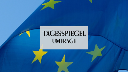 Umfrage Europawahl