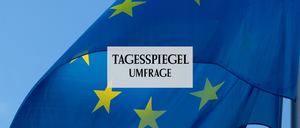 Umfrage Europawahl
