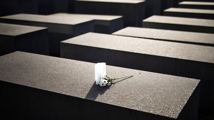 Blumen auf dem Holocaust-Mahnmal in Berlin.