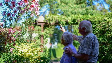 Garten Näser. Amundsenstr 9 Bornstedt. Christa und Konrad Näser. Foto: Varvara Smirnova
