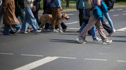 Elektroautos stellen einer britischen Studie zufolge ein größeres Unfallrisiko für Fußgänger dar als Autos mit einem Verbrennermotor.