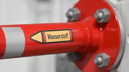 Bislang muss er mit viel Energieeinsatz aus Wasser abgespalten werden: Doch „weißen Wasserstoff“ gäbe es auch im Boden. Sollte der begehrte Stoff gefördert werden?