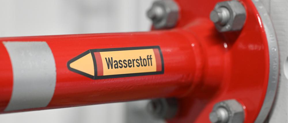 Bislang muss er mit viel Energieeinsatz aus Wasser abgespalten werden: Doch „weißen Wasserstoff“ gäbe es auch im Boden. Sollte der begehrte Stoff gefördert werden?