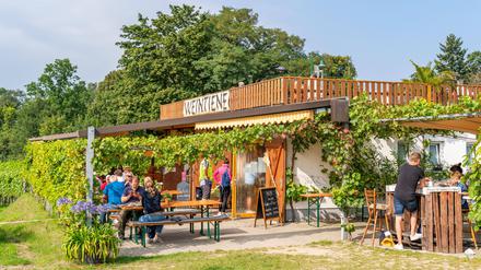 Auf dem Wachtelberg: Besenwirtschaft Weintiene vom Weingut Lindicke in Werder.