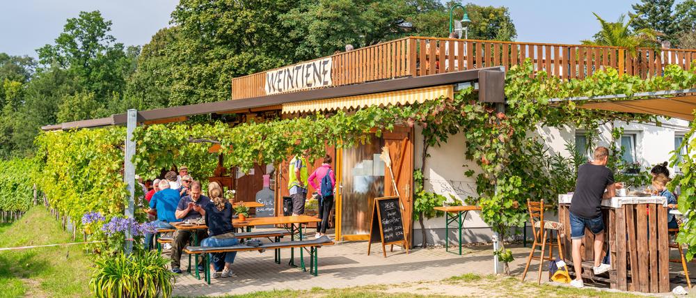 Auf dem Wachtelberg: Besenwirtschaft Weintiene vom Weingut Lindicke in Werder.
