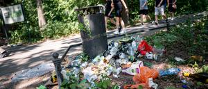 Müll und Flaschen liegen im Tiergarten entlang der Route der Technoparade Rave the Planet.