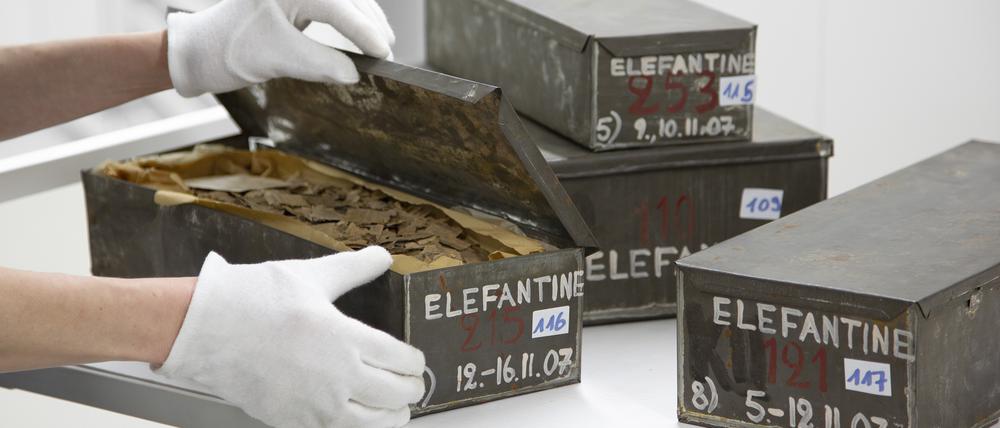 Viele Objekte aus der Elephantine-Ausstellung lagerten ein Jahrhundert lang in Kisten und Schachteln.