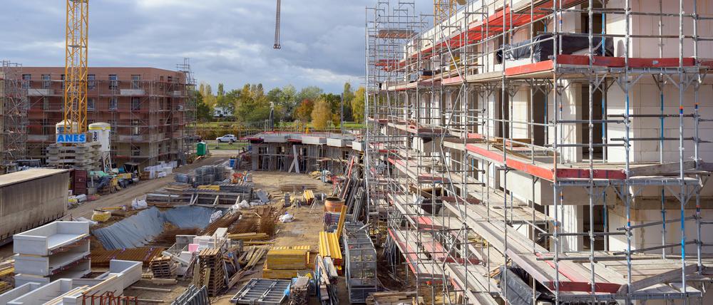 Brandenburg, Potsdam: Gerüste stehen an den Rohbauten der Häuser an der Peter-Huchel-Straße. 