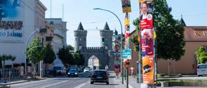  Plakate verschiedener Parteien hängen an Straßenlaternen vor dem Potsdamer Rathaus. 