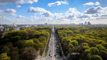  Blick auf den Berliner Tiergarten