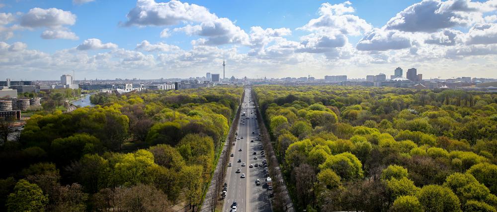  Blick auf den Berliner Tiergarten
