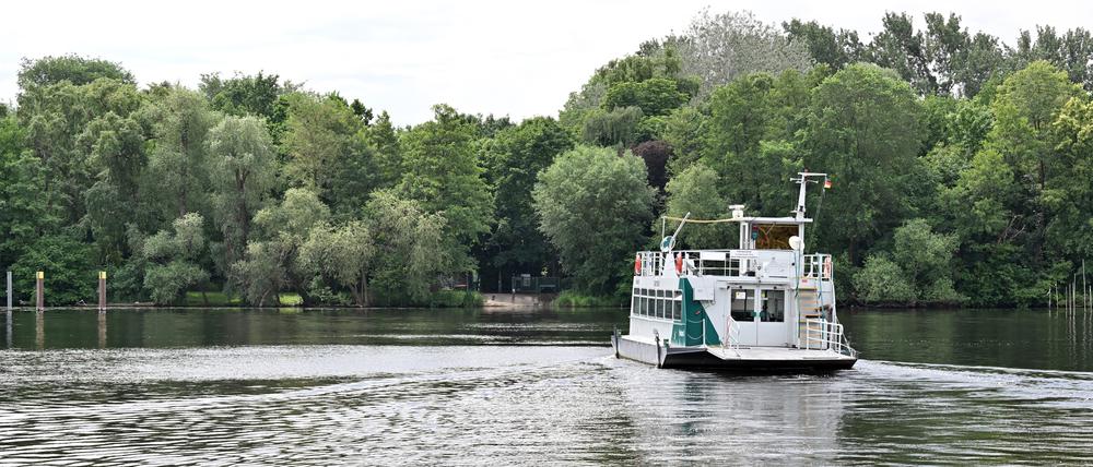 Potsdam, 27.05.2024, Lokales, Wahlkreis 3, Blick vom Kiewitt nach Hermannswerder, Fähre Kiewitt–Hermannswerder, Fähre, Faehre, Seilfähre, Seilfaehre, Kiewitt–Hermannswerder, Foto: Ottmar Winter PNN ACHTUNG: Foto ist ausschließlich für redaktionelle Berichterstattung der PNN und des TGSP! Eine kommerzielle Nutzung, z.B. Werbung, ist ausgeschlossen. Die Weitergabe an nicht autorisierte Dritte, insbesondere eine weitergehende Vermarktung über Bilddatenbanken, ist unzulässig.