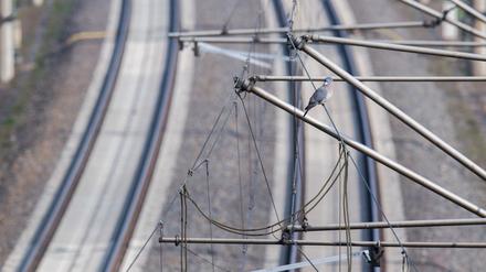 Oberleitungen auf einer Zugstrecke der deutschen Bahn (Symbolbild)