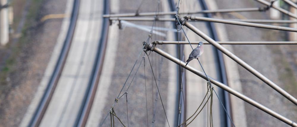 Oberleitungen auf einer Zugstrecke der deutschen Bahn (Symbolbild)