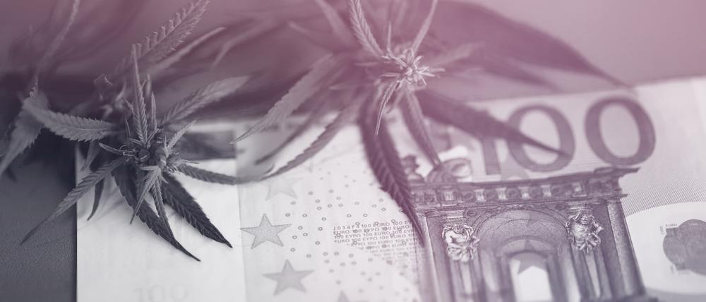 Auf das legal angebaute Cannabis werden die Kunden in Deutschland noch einige Monate warten müssen.