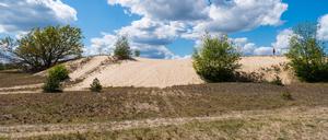 ARCHIV - 17.05.2020, Brandenburg, Luckenwalde: Die etwa neun Hektar große Binnendüne im Wildnisgebiet der Stiftung Naturlandschaften Brandenburg im Wandergebiet Wurzelberg. (zu dpa: «Polizei überwacht Wildnisgebiete wegen illegaler Motocross-Fahrten») Foto: Soeren Stache/dpa-Zentralbild/dpa +++ dpa-Bildfunk +++