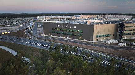 ARCHIV - 16.05.2024, Brandenburg, Grünheide: Blick am frühen Morgen auf ein kleines Waldstück im Vordergrund und dem Tesla-Werk im Hintergrund. Begleitet von Protest stimmt die Gemeinde Grünheide südöstlich von Berlin an diesem Donnerstag über Ausbaupläne des US-Elektroautobauers Tesla ab. (zu dpa: «Linke: Brandenburg ist Tesla-«Erfüllungsgehilfe» - SPD weist zurück») Foto: Jörg Carstensen/dpa +++ dpa-Bildfunk +++