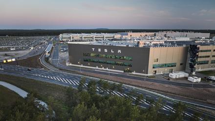 dpatopbilder - 16.05.2024, Brandenburg, Grünheide: Blick am frühen Morgen auf ein kleines Waldstück im Vordergrund und dem Tesla-Werk im Hintergrund. Begleitet von Protest stimmt die Gemeinde Grünheide südöstlich von Berlin an diesem Donnerstag über Ausbaupläne des US-Elektroautobauers Tesla ab. Foto: Joerg Carstensen/dpa +++ dpa-Bildfunk +++