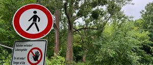 Der BUND kämpft weiter um die Pappeln an der Drewitzer Nuthe.